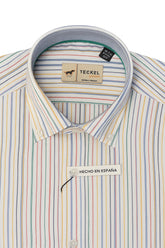 Gilbert Teckel,MultiColor Striped Shirt