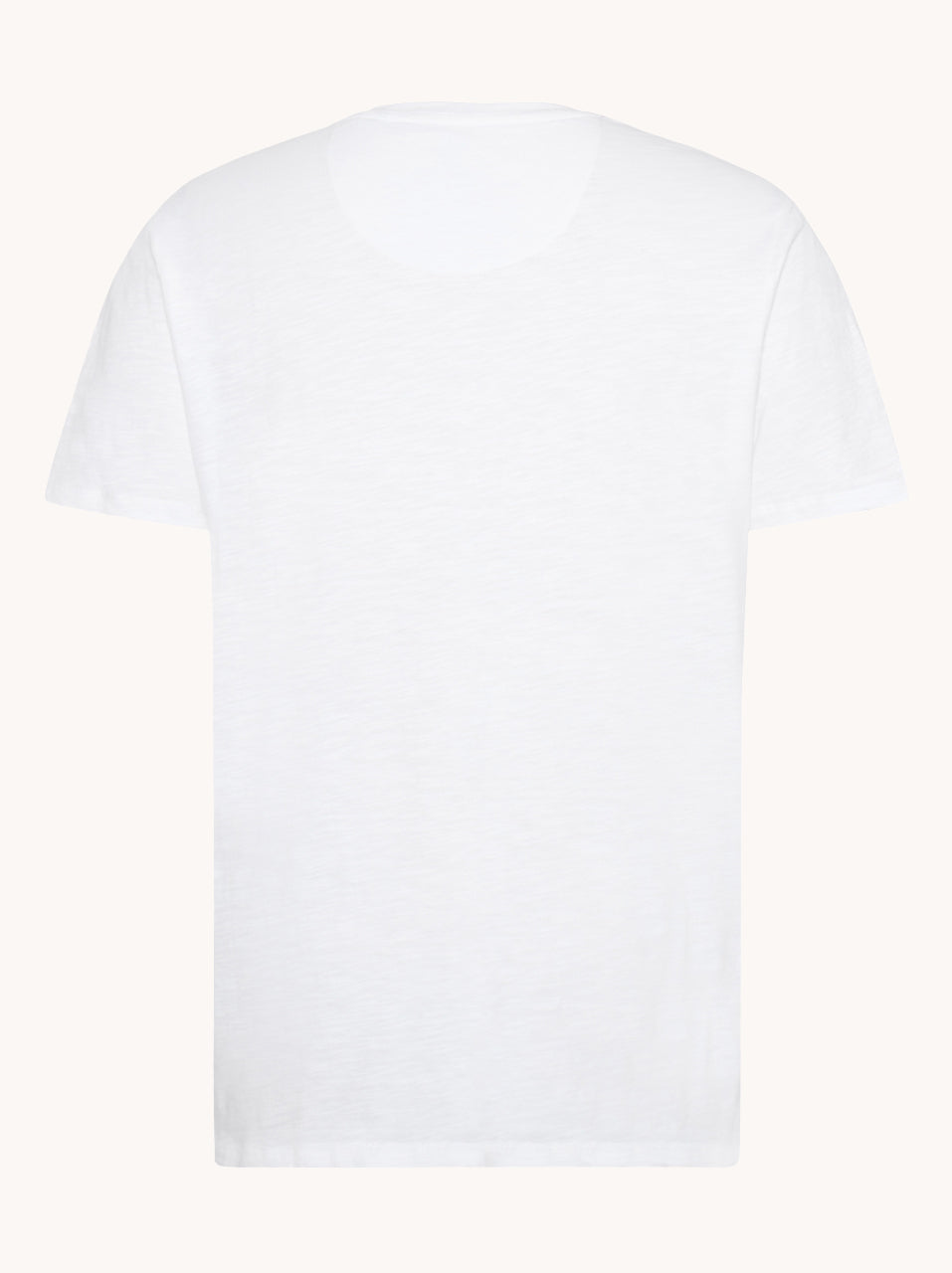 A Fish Named Fred, White T-Shirt vase