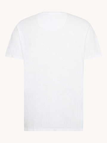 A Fish Named Fred, White T-Shirt vase