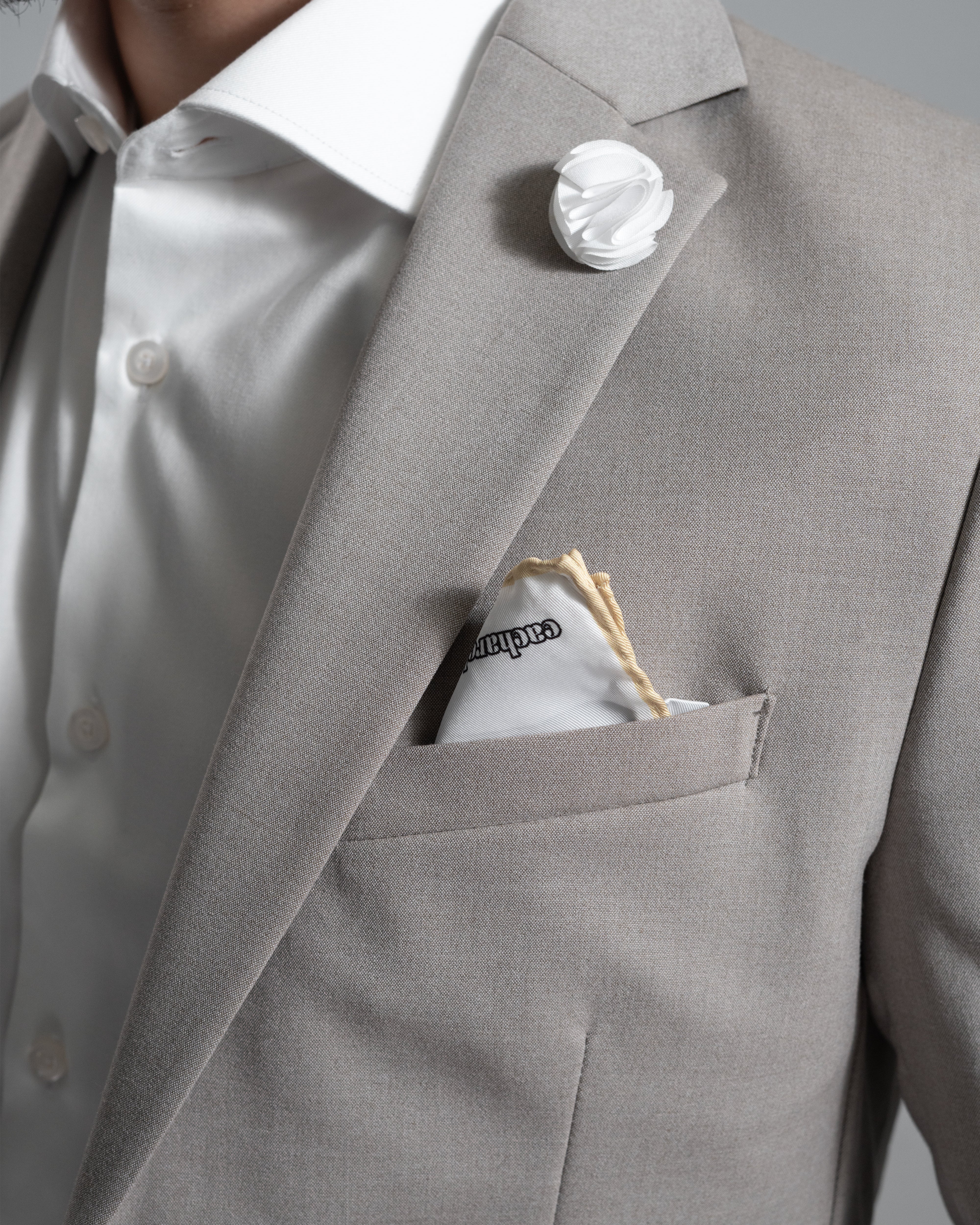 Thomas Goodwin, Beige Slim Fit Blazer Suit
