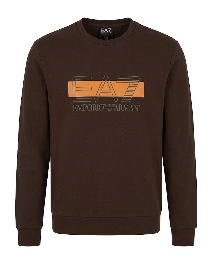 Emporio Armani, Sweatshirt Visibility Regular Fit-Brown