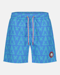 Gaastra, Blue Towers Swimshort